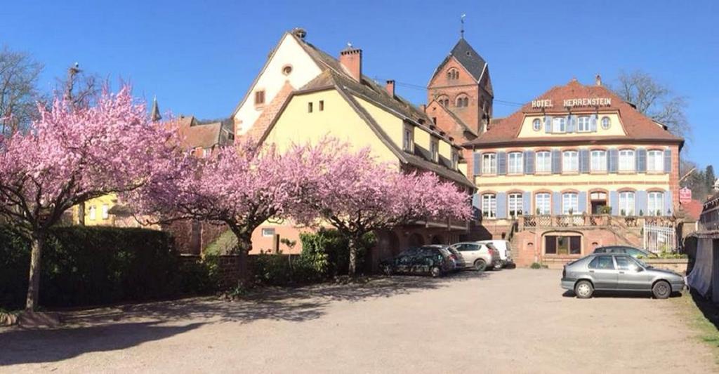 Hotel Du Herrenstein Neuwiller-les-Saverne Luaran gambar